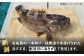 人気 うに ウニ 雲丹  新鮮 海鮮 特産品 贈り物 ギフト   魚介 ごはんの