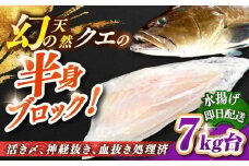 天然クエ（一本丸ものサイズ 7キロ台・半身ブロック） [JBS097] 280000 280000円 28万円