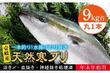 【11/1〜1/15お届け 年末年始用】天然 寒ブリ（9キロ台・丸もの） 《壱岐市》【壱岐島　玄海屋】[JBS033] ぶり 寒ぶり ブリ 魚 刺身 しゃぶしゃぶ 240000 240000円 24万