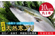 【11/1〜1/15お届け 年末年始用】天然 寒ブリ（10キロ台・丸もの） 《壱岐市》【壱岐島　玄海屋】[JBS034] ぶり 寒ぶり ブリ 魚 刺身 しゃぶしゃぶ 30000 30000円 30万
