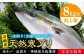 人気  おすすめ オススメ 天然ぶり 天然ブリ 天然鰤 しゃぶしゃぶ ぶりしゃぶ