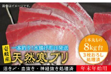 【11/1〜1/15お届け 年末年始用】天然 寒ブリ（8キロ台・3枚おろし） 《壱岐市》【壱岐島　玄海屋】[JBS025] ぶり 寒ぶり ブリ 魚 刺身 しゃぶしゃぶ 200000 200000円 20万