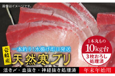 【11/1〜1/15お届け 年末年始用】天然 寒ブリ（10キロ台・3枚おろし） 《壱岐市》【壱岐島　玄海屋】[JBS037] ぶり 寒ぶり ブリ 魚 刺身 しゃぶしゃぶ 310000 310000円 31万円