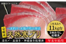 【11/1〜1/15お届け 年末年始用】天然 寒ブリ（11キロ台・3枚おろし） 《壱岐市》【壱岐島　玄海屋】[JBS038] ぶり 寒ぶり ブリ 魚 刺身 しゃぶしゃぶ 390000 390000円 39万