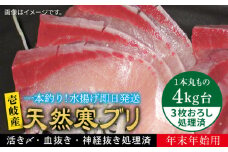 【11/1〜1/15お届け 年末年始用】天然 寒ブリ（4キロ台・3枚おろし） 《壱岐市》【壱岐島　玄海屋】[JBS022] ぶり 寒ぶり ブリ 魚 刺身 しゃぶしゃぶ 69000 69000円