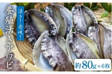 国産養殖アワビ 活き！壱岐！アワビ（約480g） 約80g×6枚 [JDQ002] あわび 鮑 BBQ 23000 23000円