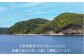 鮑 あわび アワビ 魚介 貝 海の幸 海鮮 手土産 お祝い プレゼント  国産