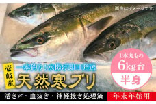 【11/1〜1/15お届け 年末年始用】天然 寒ブリ（一本丸ものサイズ6キロ台の半身ブロック） 《壱岐市》【壱岐島　玄海屋】[JBS020] ぶり 寒ぶり ブリ 魚 刺身 しゃぶしゃぶ 68000 68000円