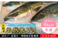 人気  おすすめ オススメ 天然ぶり 天然ブリ 天然鰤 しゃぶしゃぶ ぶりしゃぶ
