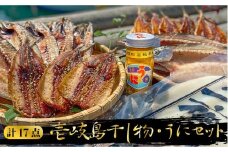 《予約受付中》 うに 干物 壱岐島干し物とウニのセット 《壱岐》【平田水産加工】 [JEC003] ウニ 雲丹 干物 ひもの 海鮮 セット  24000 24000円