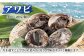 人気 魚介 ごはんのお供 朝食 昼食 夕食 夜食 セット 朝食 昼食 夕食