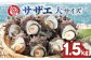 人気 魚介 ごはんのお供 朝食 昼食 夕食 夜食 セット 朝食 昼食 夕食