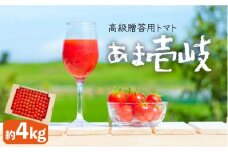 【先行予約】トマト ミディトマト  約4kg 高級贈答用「あま壱岐」【2025年12月以降順次発送】 [JAE005] 野菜 ギフト プレゼント 贈り物 28000 28000円