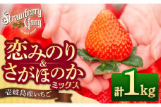 【先行予約】恋みのり・さがほのか 約250g×4パック《壱岐市》【Strawberry Gang】 [JEM001] セット イチゴ 苺 定期便 食べ比べ 果物 フルーツ スムージー 15000 15000円