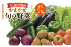 【全3回定期便】旬の野菜 7品《壱岐市》【壱岐市農業協同組合】 [JBO044] 野菜 やさい 旬 季節 セット 詰め合わせ 産地直送 新鮮 サラダ スムージー 定期便 30000 30000円