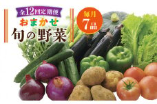 【全12回定期便】旬の野菜セット 7品《壱岐市》【壱岐市農業協同組合】 [JBO046] 野菜 ベジタブル 食材 詰め合わせ 産地直送 野菜セット グルメ 春 夏 秋 冬 旬 サラダ 冷蔵 夏野菜 スムージー 定期便 120000 120000円