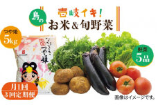 【全3回定期便】壱岐産 つや姫 5kg・旬の野菜 5品《壱岐市》【壱岐市農業協同組合】 [JBO047] 野菜 やさい 旬 季節 セット 詰め合わせ 産地直送 新鮮 サラダ 米 お米 ご飯 ごはん 白米 5キロ 定期便   69000 69000円