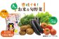 お米 白米 米 白米 野菜 セット 新鮮 季節野菜 ごはん 食べ比べ 朝食 昼食