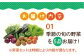 お米 白米 米 白米 野菜 セット 新鮮 季節野菜 ごはん 食べ比べ 朝食 昼食