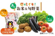 【全12回定期便】壱岐産米つや姫5kg・旬の野菜5品《壱岐市》【壱岐市農業協同組合】 [JBO049] 野菜 食材 夏野菜 セット 野菜セット スムージー 米 お米 つや姫 ご飯 旬 鮮度 新鮮 定期便   276000 276000円