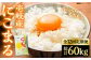 米 お米 ご飯 ごはん 白米 お弁当 新米 朝食 常温