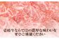 ステーキ 人気 和牛  壱岐牛 希少 柔らかい やわらかい 贈り物 ギフト  肉