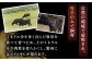 ステーキ 人気 和牛  壱岐牛 希少 柔らかい やわらかい 贈り物 ギフト  肉