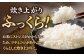 人気 贈り物 ギフト