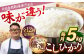 人気 贈り物 ギフト