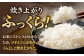 人気 贈り物 ギフト