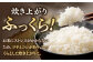 人気 贈り物 ギフト