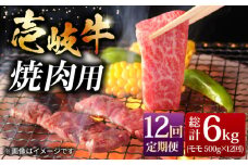 【全12回 定期便 】お肉 壱岐牛 焼き肉セット 500g 《 壱岐市 》 【ヤマグチ】[JCG056] 黒毛和牛 和牛 壱岐牛 モモ 焼き肉 焼肉 モモ 赤身 とろける ジューシー 240000 240000円