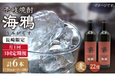 【全3回 定期便 】麦焼酎 海鴉 25度 720ml 2本入りセット 《 壱岐市 》【天下御免】[JDB110] 48000 48000円