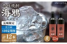 【全6回 定期便 】麦焼酎 海鴉 25度 720ml 2本入りセット 《 壱岐市 》【天下御免】[JDB111] 96000 96000円