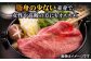 人気 和牛  壱岐牛 希少 柔らかい やわらかい 贈り物 ギフト  肉 黒毛和牛