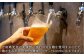 ビール お酒 酒 ビア クラフト セット プレゼント ギフト 贈り物 手土産