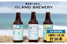 【全6回 定期便 】クラフトビール 地ビール  6本  詰め合わせ（3種類×2本）【ISLAND BREWERY】 《 壱岐市 》[JED019] 108000 108000円