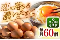 【全3回定期便】特選 素直な恋たまご 60個 《壱岐市》【しまのたまご屋さん】 [JAP003] 卵 たまご 鶏卵 玉子 ギフト 国産 もみじ 卵かけご飯 たまごかけご飯 のし プレゼント ギフト 定期便 39000 39000円
