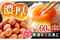 【全6回定期便】特選 素直な恋たまご 60個 《壱岐市》【しまのたまご屋さん】 [JAP004] 卵 たまご 鶏卵 玉子 ギフト 国産 もみじ 卵かけご飯 たまごかけご飯 のし プレゼント ギフト 定期便 78000 78000円