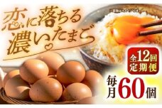 【全12回定期便】特選 素直な恋たまご 60個 《壱岐市》【しまのたまご屋さん】 [JAP005] 卵 たまご 鶏卵 玉子 ギフト 国産 もみじ 卵かけご飯 たまごかけご飯 のし プレゼント ギフト 定期便 156000 156000円