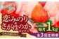  まとめ買い 人気 ギフト 食材 いちご イチゴ 苺  食べ比べ 果物 フルーツ