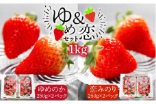 【先行予約】ゆめ恋セット（ゆめのか・恋みのり）計1kg【2026年2月以降順次発送】《壱岐市》【蒼花】[JEO001] いちご イチゴ 苺 フルーツ 果物 スムージー ジャム ゆめのか 恋みのり セット 食べ比べ 小分け パック 冷蔵 あまおう 15000 15000円