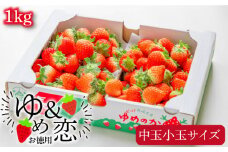 【先行予約】お徳用 バラ詰め イチゴ 1kg （ゆめのか・恋みのり）【2026年2月以降順次発送】《壱岐市》【蒼花】[JEO002] いちご イチゴ 苺 フルーツ 果物 スムージー ジャム ゆめのか 恋みのり セット 食べ比べ  冷蔵 10000 10000円 7千円