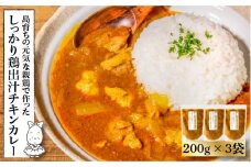 チキンカレー 鶏 200g × 3袋  島育ちの元気な親鶏で作った「しっかり鶏出汁 チキン カレー 」《壱岐市》【しまのたまご屋さん】[JAP007] 14000 14000円