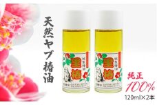 食用 椿油 120ml × 2本 天然 ヤブ椿油《壱岐市》【天下御免】 [JDB128] 13000 13000円