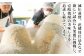 焼酎 壱岐焼酎 むぎ焼酎 麦焼酎 ムギ焼酎 本格焼酎 地酒 お酒 ギフト