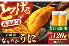 【全6回定期便】数量限定！壱岐の生うに 2本セット [JEH006] 180000 180000円 紫うに 生うに ウニ うに 生ウニ 雲丹 ムラサキウニ 紫うに 瓶 瓶詰め ギフト 贈答 のし プレゼント ギフト 冷凍配送 定期便