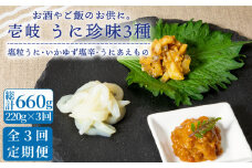 【全3回定期便】壱岐 うに 珍味 3本 セット 【下久商店株式会社】[JBZ031] 51000 51000円