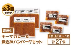 【全3回定期便】壱岐牛煮込みハンバーグキーマカレーセット [JBW020] 108000 108000円 