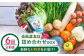 おすすめ オススメ こだわり ギフト 人気 特産品 セット 野菜 詰め合わせ
